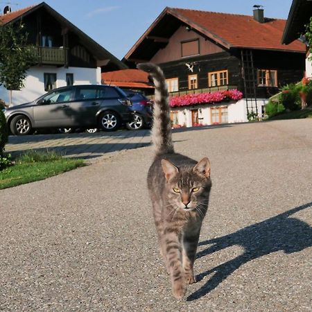 Giglerhof Daire Bad Birnbach Dış mekan fotoğraf