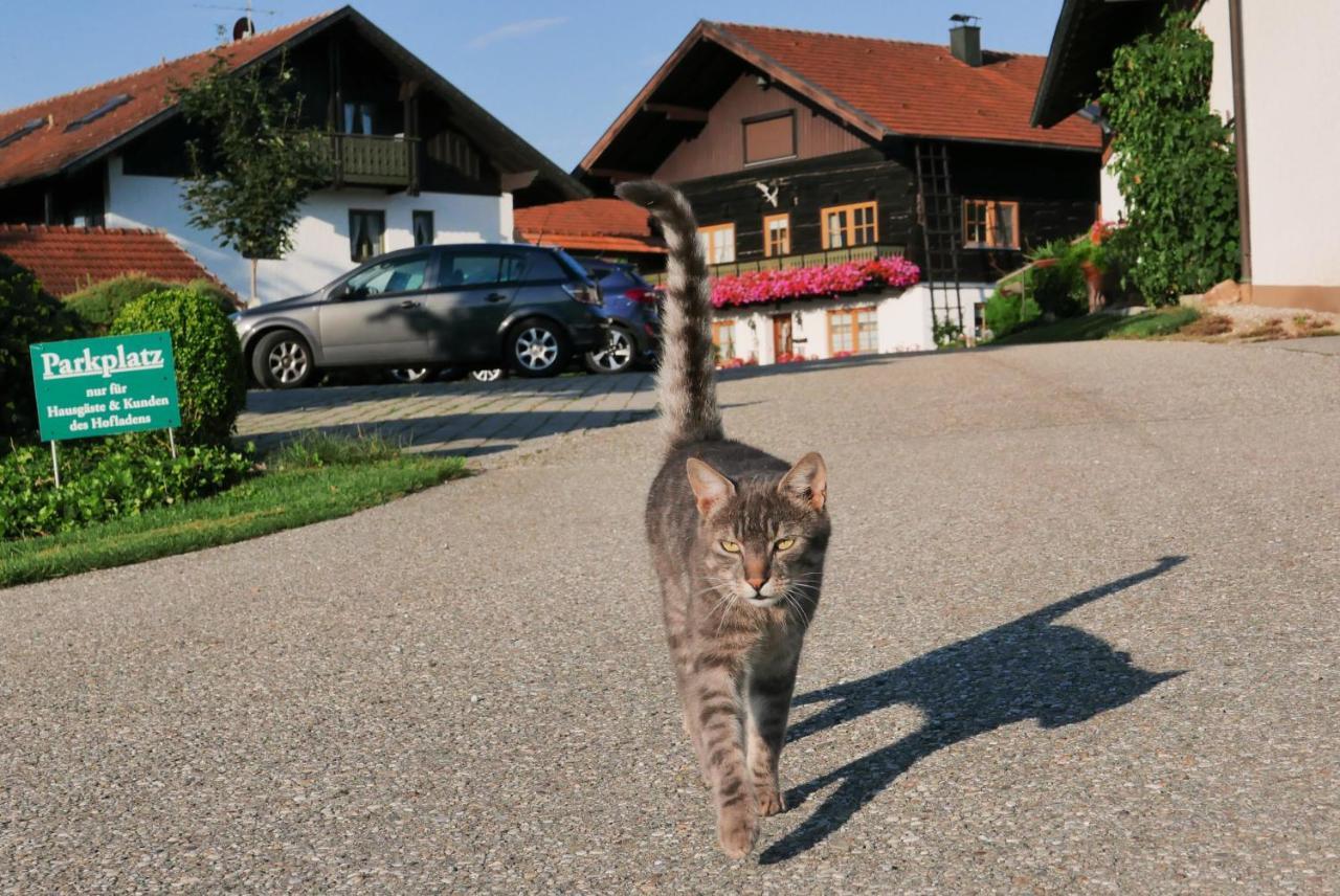 Giglerhof Daire Bad Birnbach Dış mekan fotoğraf