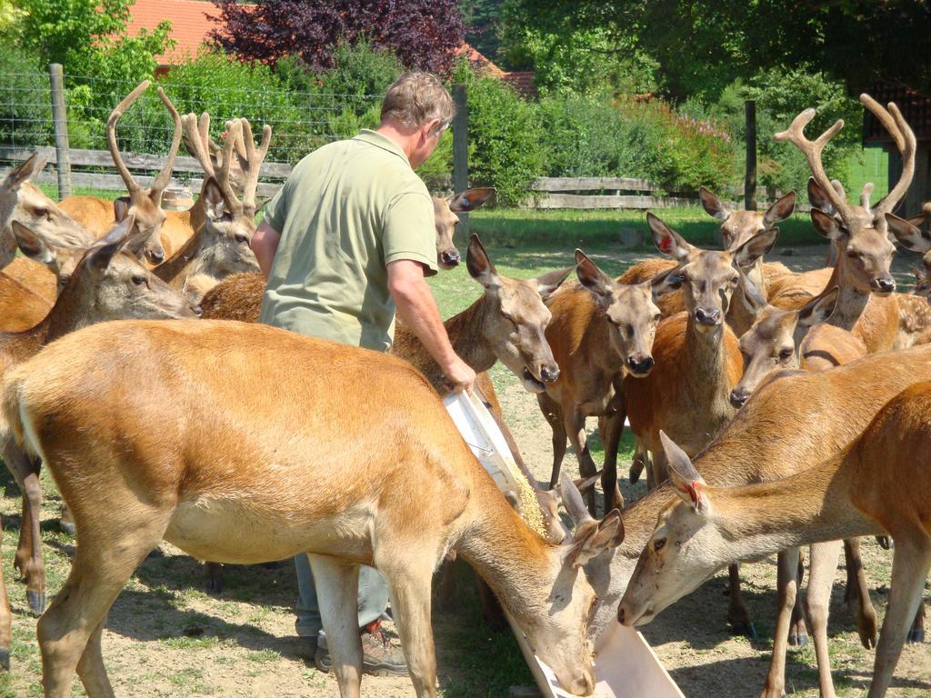 Giglerhof Daire Bad Birnbach Oda fotoğraf