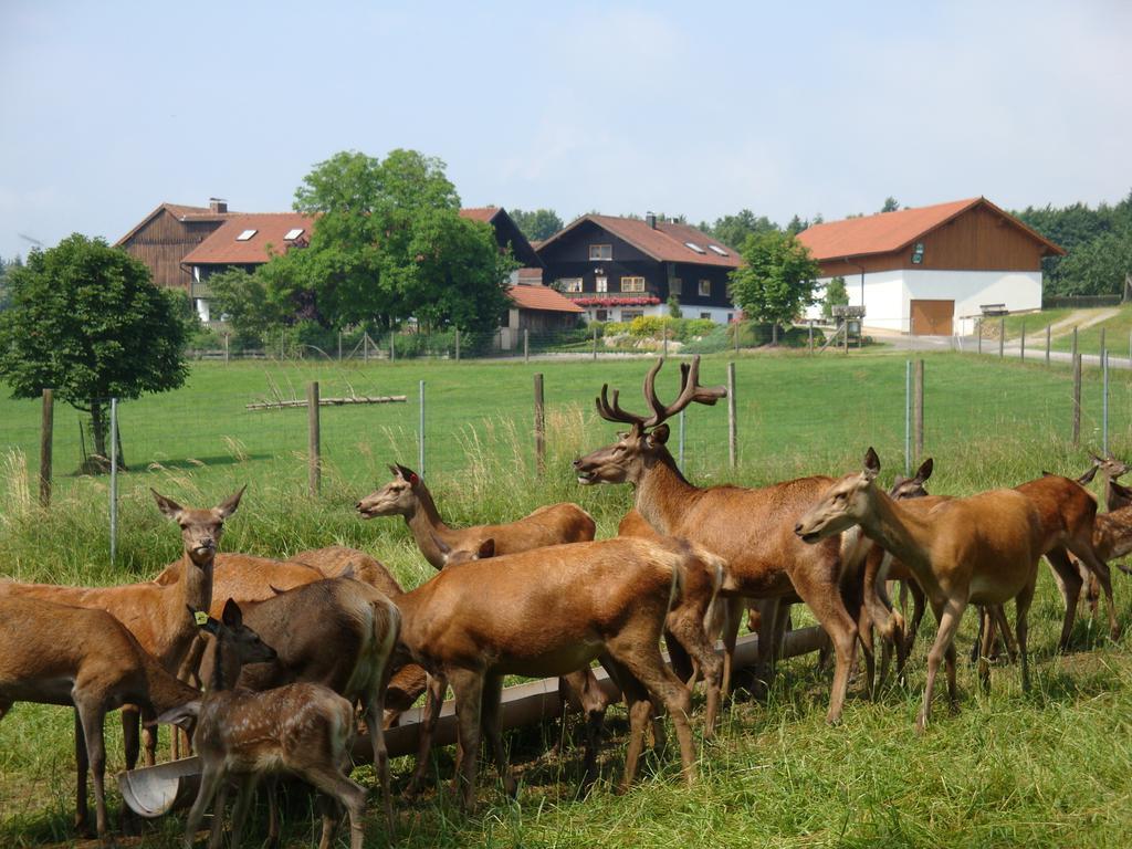 Giglerhof Daire Bad Birnbach Dış mekan fotoğraf
